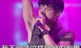 圈内知情人爆料黄子韬,揭秘明星背后的真实故事