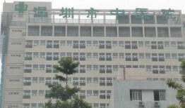 深圳市中医院最新爆料,传承与创新并行，中医诊疗新篇章