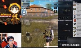 原神爆料鸡哥视频下载,揭秘游戏新内容与精彩瞬间