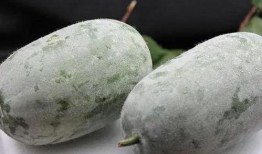 吃瓜第一线的网红,揭秘吃瓜第一线网红的幕后故事