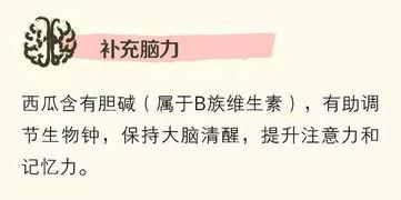 做一个吃瓜群众文案