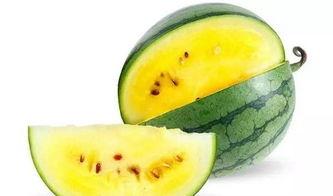 娱乐吃瓜酱4.8,揭秘娱乐圈最新热点，带你领略八卦风云