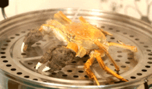 娱乐吃瓜君大闸蟹,大闸蟹背后的故事与魅力