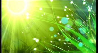 娱乐吃瓜视频背景图片素材,背景图片素材大赏